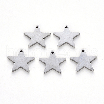 Tarnish Resistant 304 Stainless Steel Charms STAS-N092-67-1