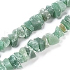 Natural Green Aventurine Beads Strands G-I283-F05-1