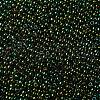 TOHO Round Seed Beads X-SEED-TR11-0507-2