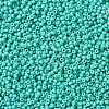 MIYUKI Round Rocailles Beads SEED-G008-RR4475-3