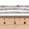 Natural Ang Beads Strands G-RM2025-A31-2mm-5