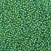 TOHO Round Seed Beads X-SEED-TR08-0307-2