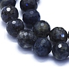 Natural Iolite Beads Strands G-E561-21-10mm-3