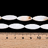 Natural Freshwater Shell Beads Strands PBB220Y-1-01-4