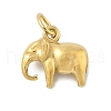 304 Stainless Steel Charms STAS-P391-01C-G-1