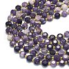 Natural Lepidolite Beads Strands G-C116-A09-02-3