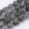 Natural Labradorite Beads Strands G-Q952-12-6x8-1