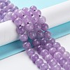 Dyed Natural Malaysia Jade Beads Strands G-G021-02B-05-1