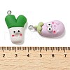 Opaque Resin Imitation Food Pendants CRES-M030-04-3