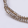 Electroplate Glass Beads Strands GLAA-F078-FP05-3