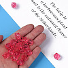 Transparent Acrylic Beads MACR-S373-132-B04-3