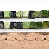Natural Serpentine Beads Strands G-T140-36A-5