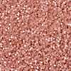 MIYUKI Delica Beads SEED-X0054-DB1863-3