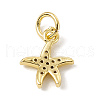 Brass Micro Pave Cubic Zirconia Charms ZIRC-F132-25G-2