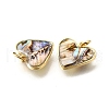 Natural Paua Shell & Epoxy Resin Charms KK-E794-02G-05-2
