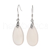 Natural Agate Dangle Earrings for Women EJEW-C083-04P-1