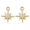 Ion Plating(IP) 304 Stainless Steel Charms STAS-U032-14G-1
