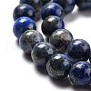 Natural Lapis Lazuli Round Bead Strands G-E262-01-8mm-2