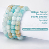 Olycraft 1 Strand Natural Flower Amazonite Beads Strands G-OC0005-47-4