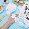 Polyester Lace Ribbons OCOR-WH0082-213A-3