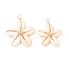 Natural Mixed Cowrie Shell Pendants PALLOY-JF03859-01-1