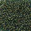TOHO Round Seed Beads X-SEED-TR08-1014-2