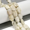 Natural Rainbow Moonstone Beads Strands G-P544-B05-01-1