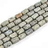 Natural Variscite Beads Strands G-N346-01B-14-2