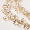 Electroplate Glass Beads Strands X-EGLA-L009-FR07-2