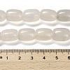 Natural Agate Beads Strands G-D317-A01-09-5