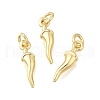 Brass Pendants KK-U072-21G-1
