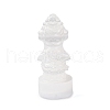 Natural Selenite Figurines DJEW-Q006-01C-1