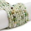 Natural Serpentine Beads Strands G-G161-D24-01-1