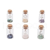 6Pcs Glass Wish Bottle Display Decoration PALLOY-JF03644-2