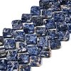 Natural Blue Spot Jasper Beads Strands G-L239-17-1