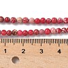 Dyed Natural Regalite/Imperial Jasper/Sea Sediment Jasper Beads Strands G-B124-C05-3