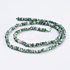 Natural Green Spot Jasper Beads Strands G-K255-07-2