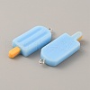 Opaque Resin Pendants RESI-CJC0020-09B-2