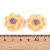 Resin Decoden Cabochons CRES-T025-04B-3