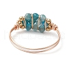 Natural Apatite Beads with Solid Round Brass Beads and Eco-Friendly Copper Wire Rings RJEW-TA00184-03-4