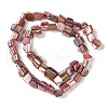 Dyed Natural Freshwater Shell Beads Strands SHEL-P016-01G-2