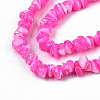 Natural Freshwater Shell Beads Strands SHEL-N003-23-B05-3