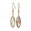 Natural Paua Shell Dangle Earrings EJEW-JE06274-03-2