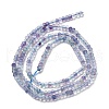 Natural Colorful Fluorite Beads Strands G-H075-A01-01-3