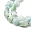 Natural Glass Beads Strands G-K395-A02-02-4