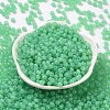 6/0 Imitation Jade Glass Seed Beads SEED-T006-04A-10-2