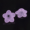 Transparent Acrylic Beads PL560-4-1