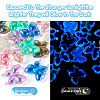  12Pcs 6 Colors Luminous UV Plating Rainbow Iridescent Acrylic Beads OACR-TA0001-50-13