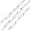 Tarnish Resistant 304 Stainless Steel Paperclip Chains CHS-F011-03B-P-2