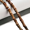 Natural Picture Jasper Beads Strands G-Q178-A02-01-2